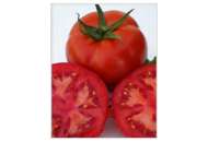 Мейс F1 - томат детермінантний, 1000 насінин, Yuksel Tohum фото, цiна